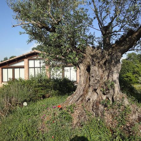 Chalet Domaine De Combe Ramond Hotel Veilhes ภายนอก รูปภาพ