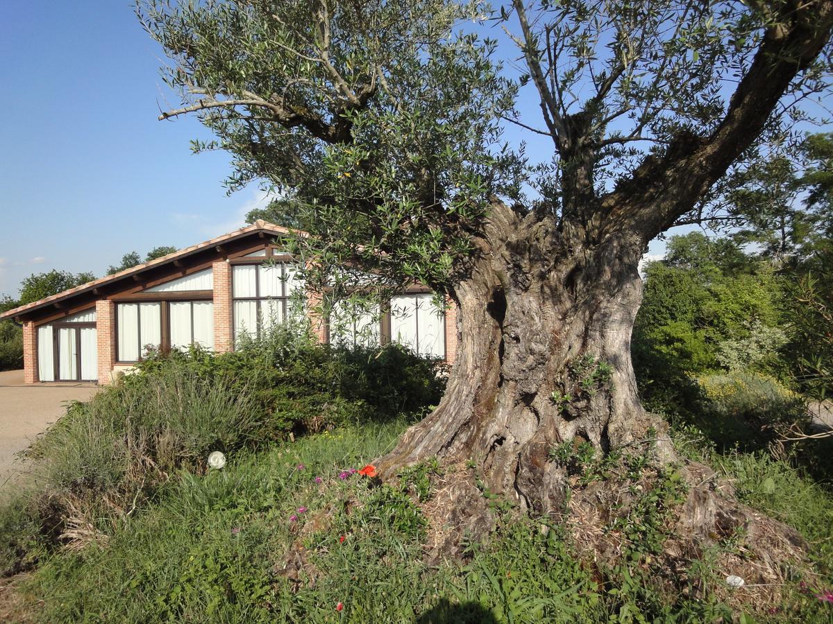 Chalet Domaine De Combe Ramond Hotel Veilhes ภายนอก รูปภาพ